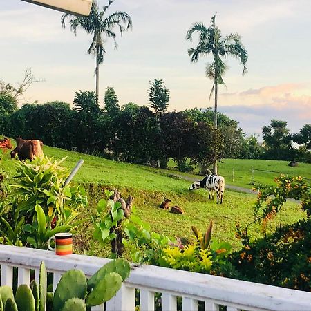 Apaula Heights Lounge Bed & Breakfast Apia Ngoại thất bức ảnh