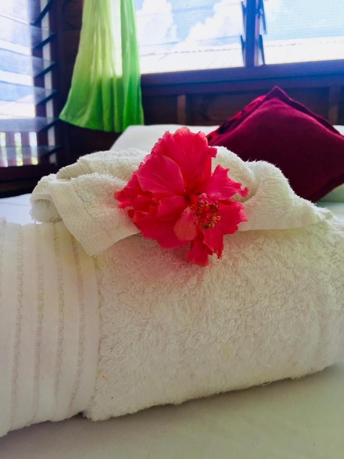 Apaula Heights Lounge Bed & Breakfast Apia Ngoại thất bức ảnh