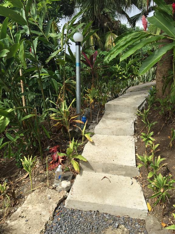 Apaula Heights Lounge Bed & Breakfast Apia Phòng bức ảnh